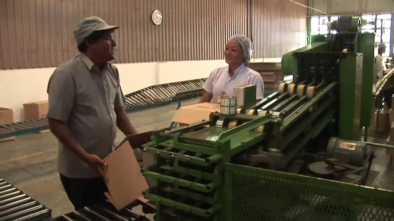 Sustainable tuna fishing (Maldivian) -v- Industrial tuna fishing