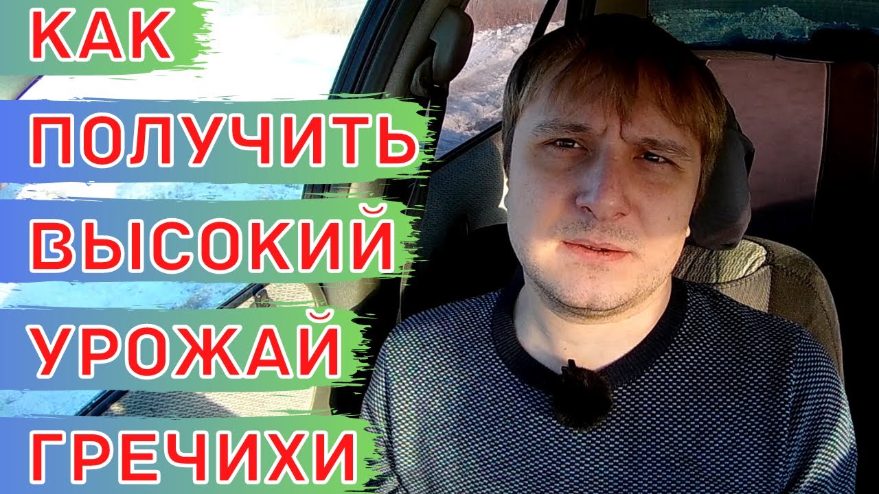 Схема питания для гречихи / гречки. Минеральные удобрения и листовые подкормки