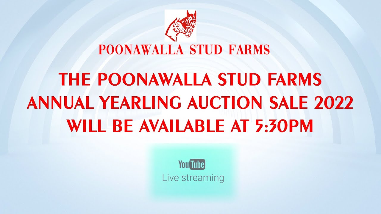 Poonawalla Stud Farms Annual Yearling Auction Sale 2022 | LIVE