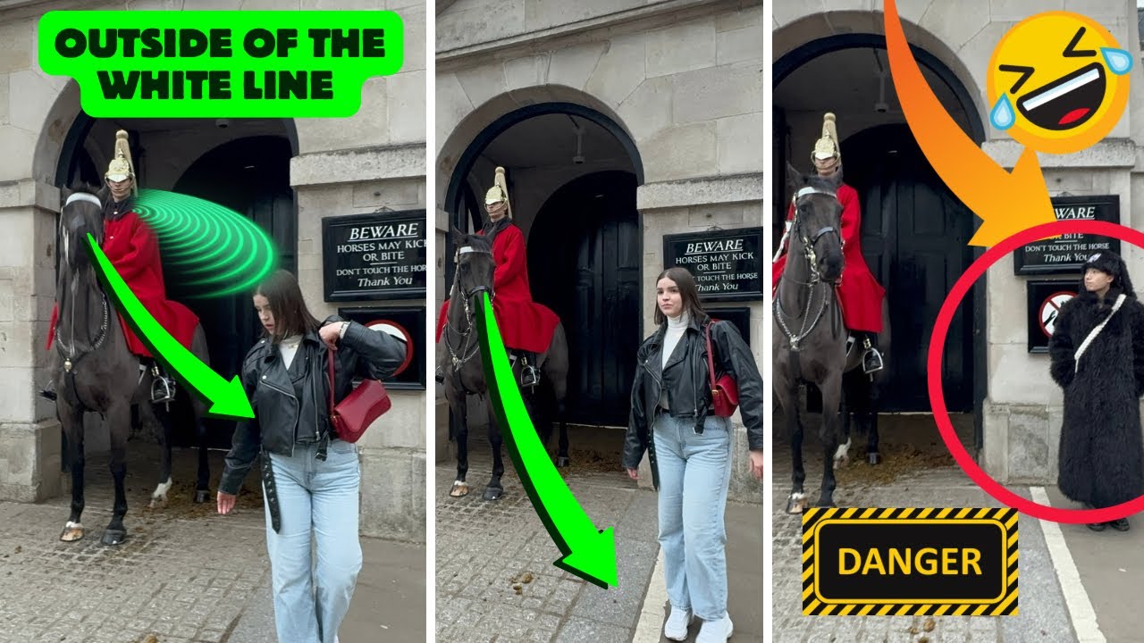 🤣TOURISTS Are STILL INVADING The SPACE OF  The KINGS HORSE GUARD ‼️white Box