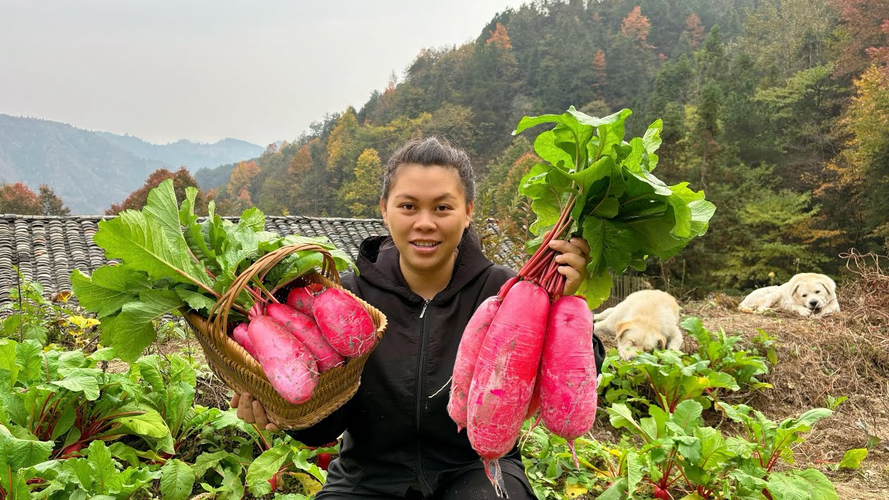 Record my life in the countryside 今天歐妹做一些酸蘿蔔，在拿一大扇排骨做個香辣幹鍋吃過癮