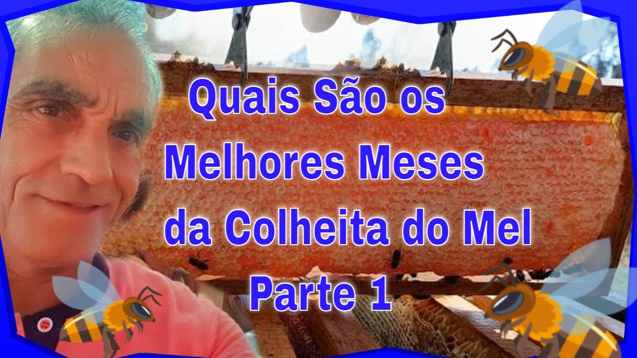 Os Melhores Meses da Colheita  Mel ( Parte 1) #yutube_videos #colheita #mel @euclidessantanasantana