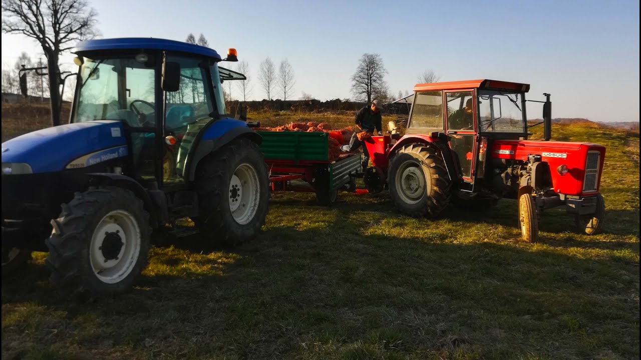 Uprawa i sadzenie ziemniaków 2020 |New Holland TD5020 |Ursus C360 3P |Dziekan Apollo