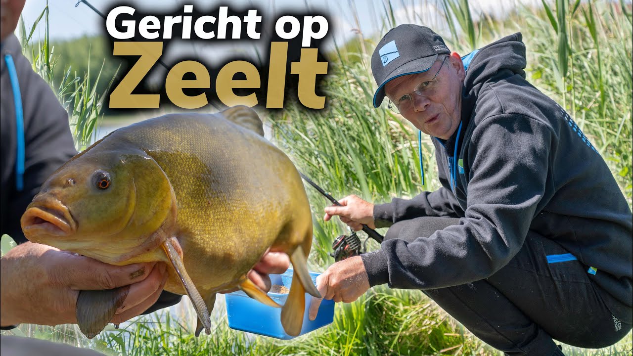 Gericht op zeelt – Arnout op zoek naar de groene schicht!🐟🌿