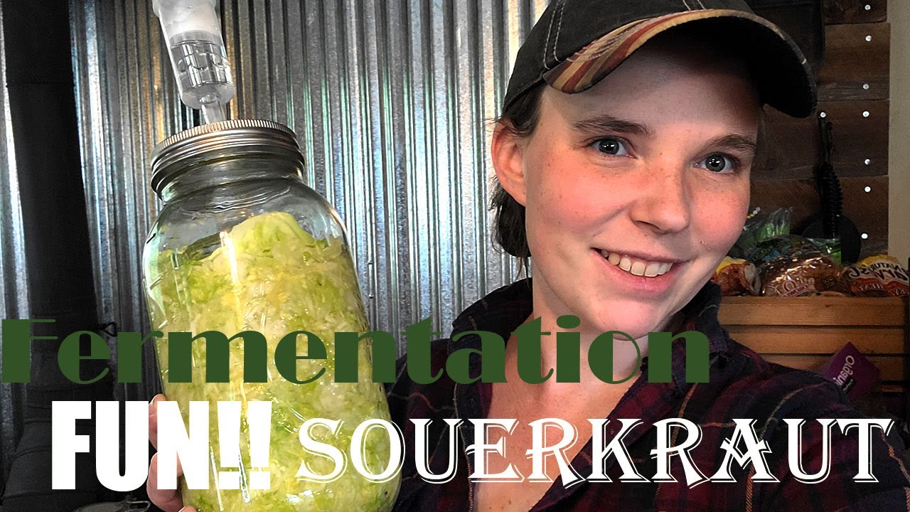 EASY Fermentation! Sauerkraut.....for Beginners!!