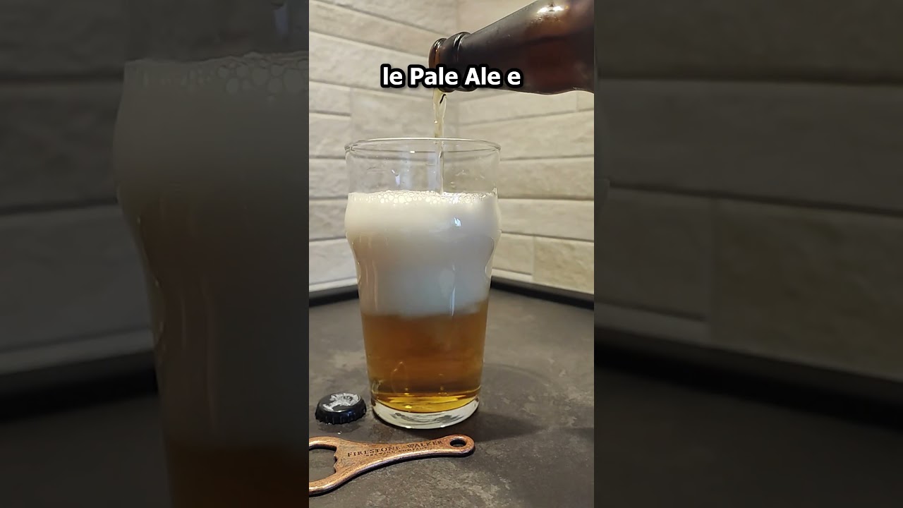 Le ENGLISH IPA | SKÅL! 