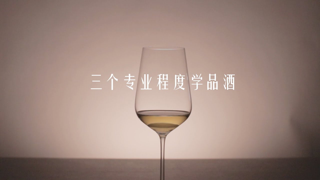 How to Taste Wine in 3 Levels of Expertise 4K 葡萄酒怎么品？三个专业程度学品酒(part 1/2)