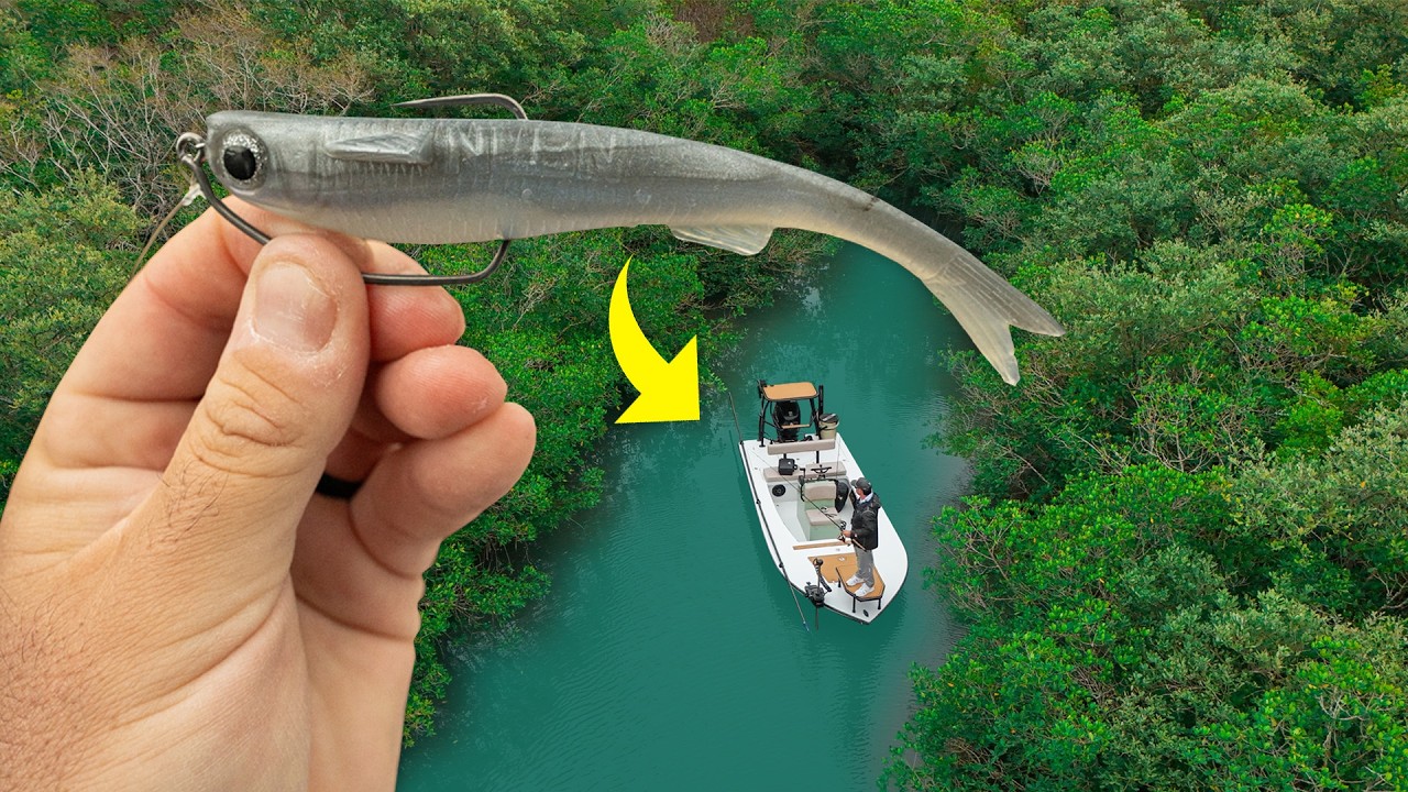 Snook Smashed this Popular Lure!! Epic Big Snook Fishing is Back...