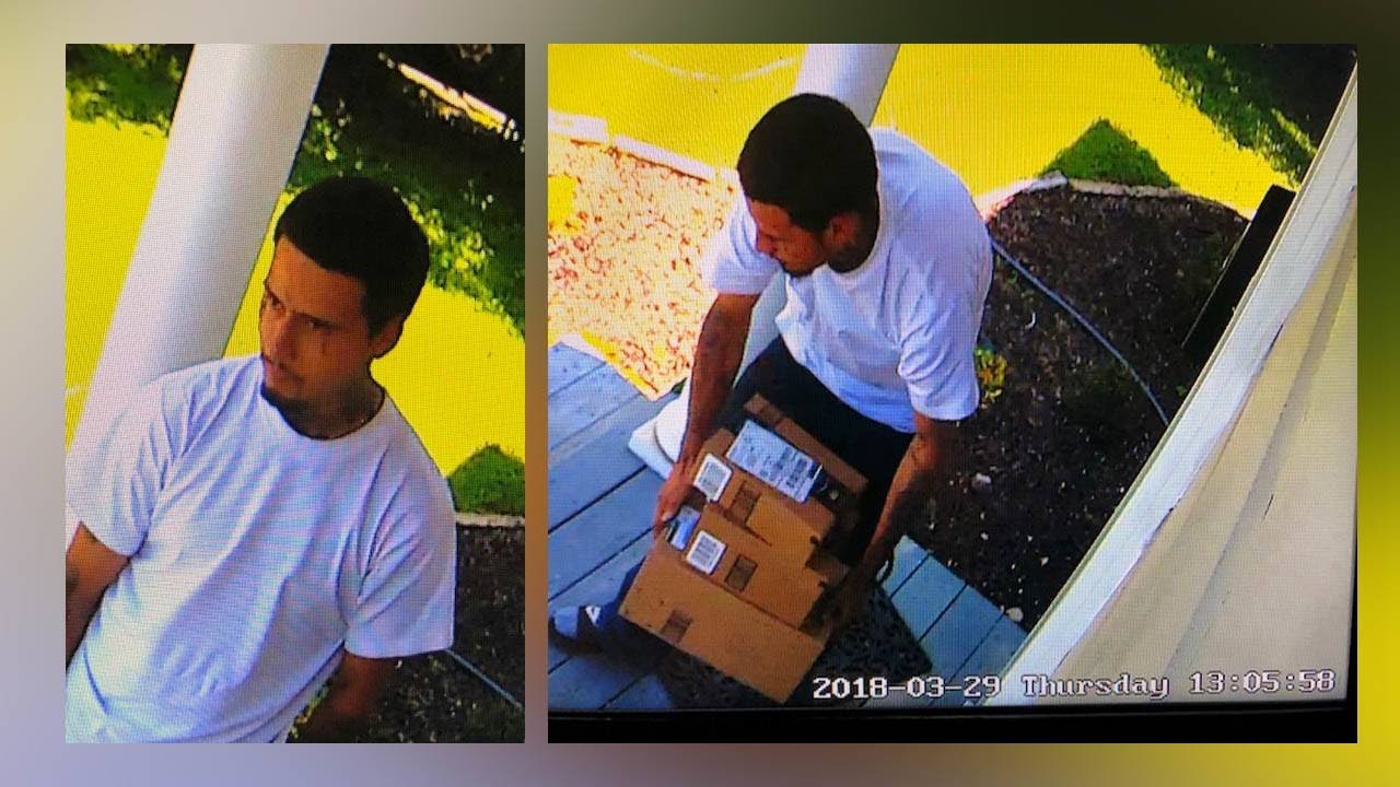 VIDEO: Sharp security video shows thief trying to break into Monticello home; stealing packages