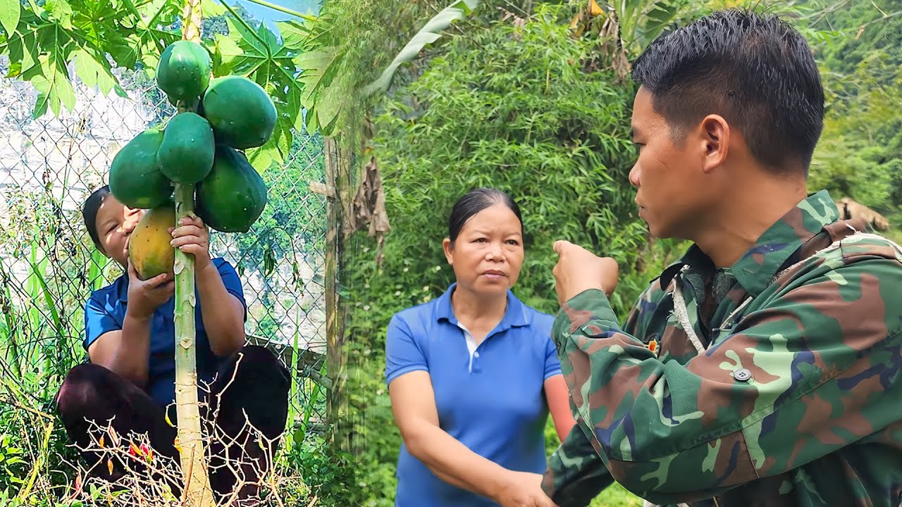 Mother-in-law sneaked into my garden & stole a ripe papaya behind my husband's back