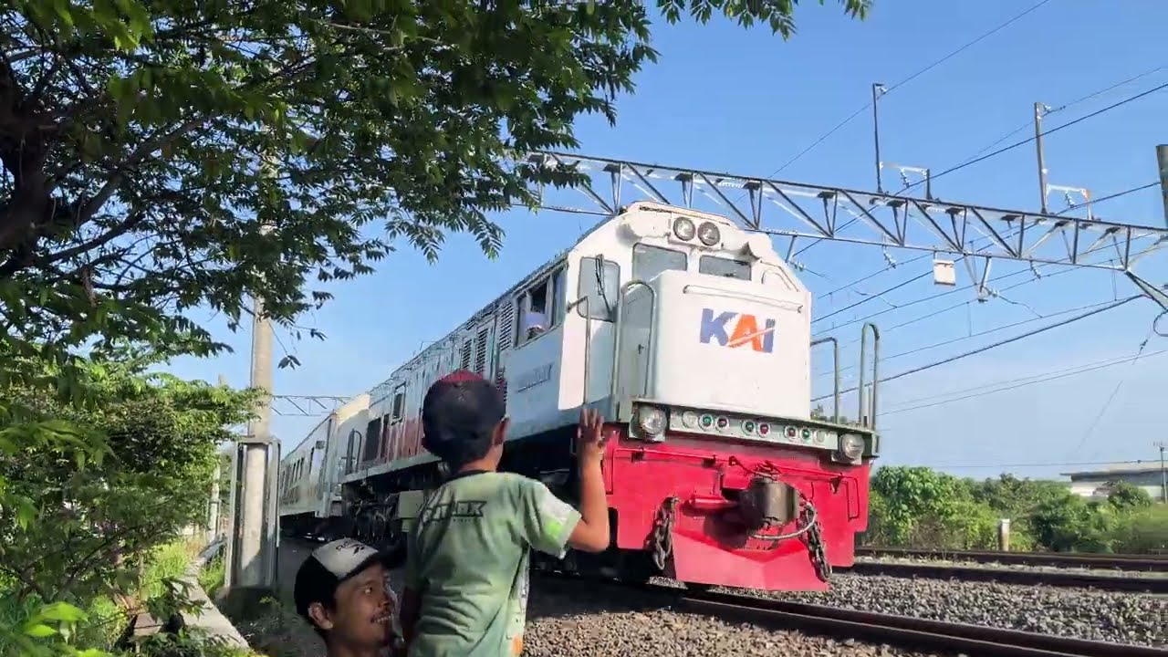 Hunting kereta api Indonesia 🇮🇩😎🥰😄 KAI #keretaapi #viral #train #railfan 