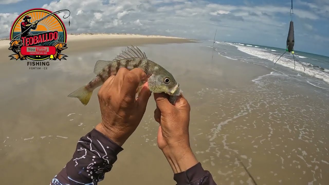 INVASÃO PESCADORES DE REDE DE MALHA (RENGAI) NA PRAIA DOS MARINHEIROS GIGANTES! #teobaldofishing