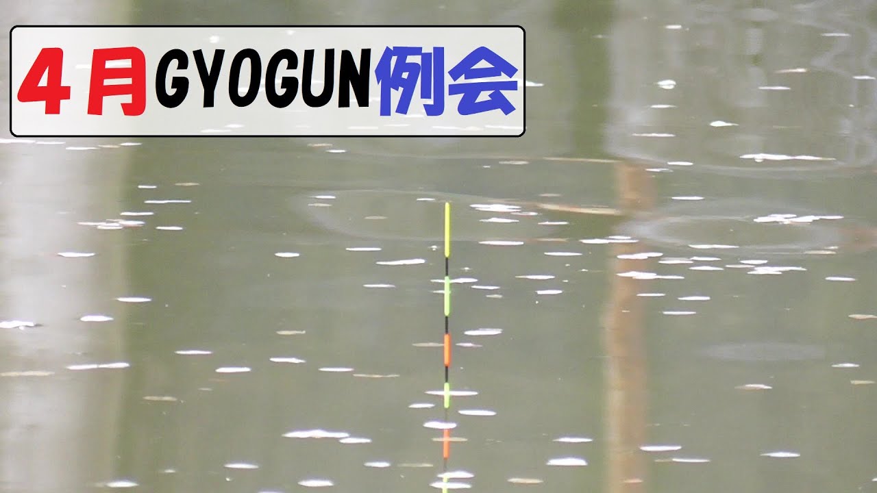 【吉森へら鮒センター】大雨の中！！4月GYOGUN例会の様子です。