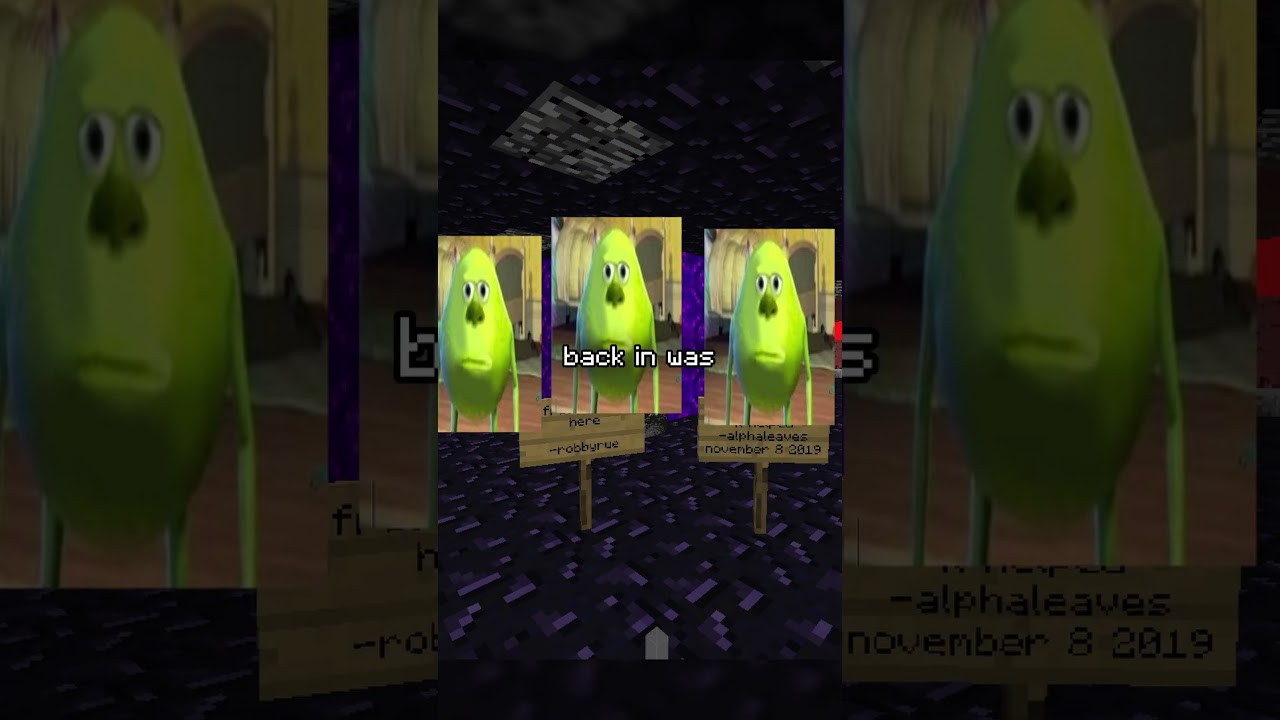 No Server November on 2b2t