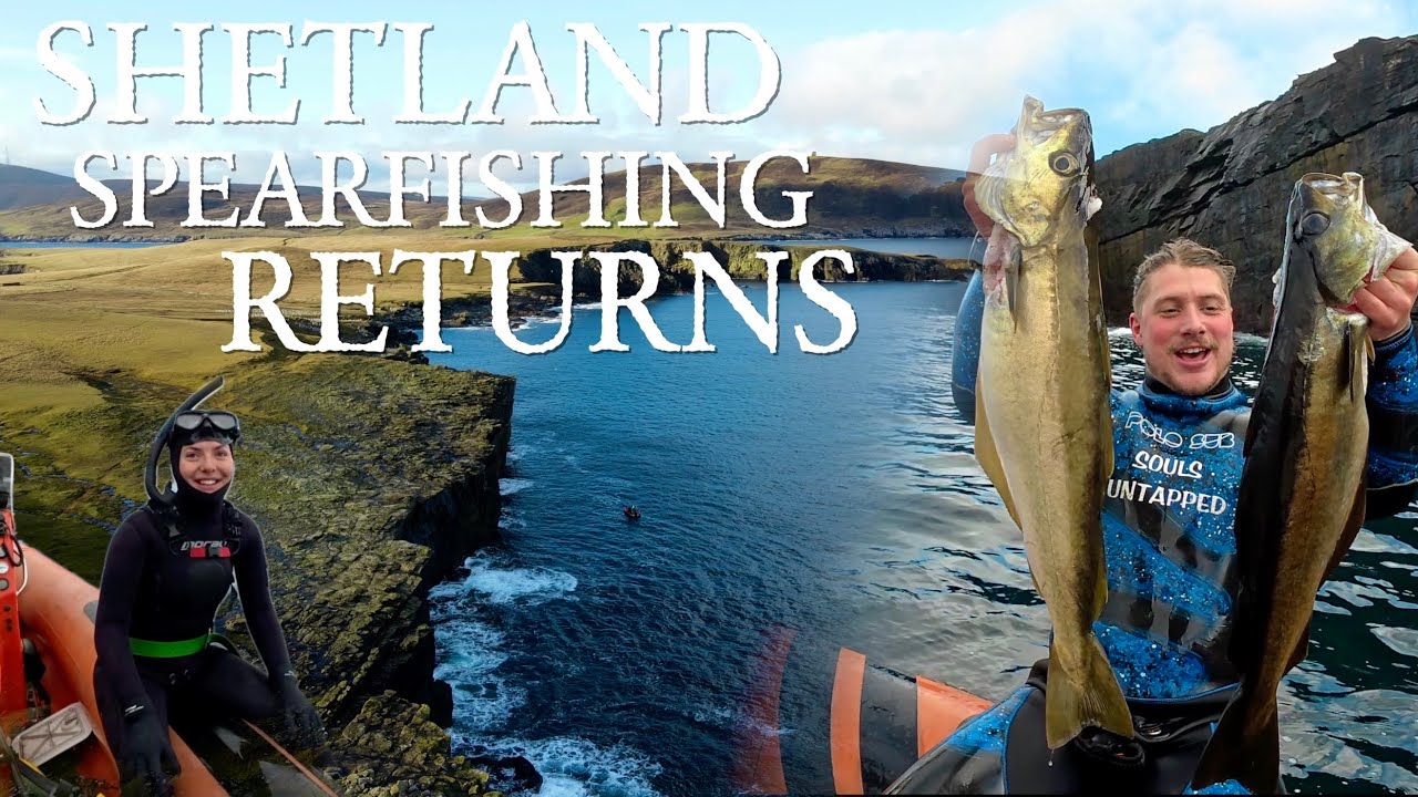 Spearfishing in Scotland again | LAST DIVE OF 2025 