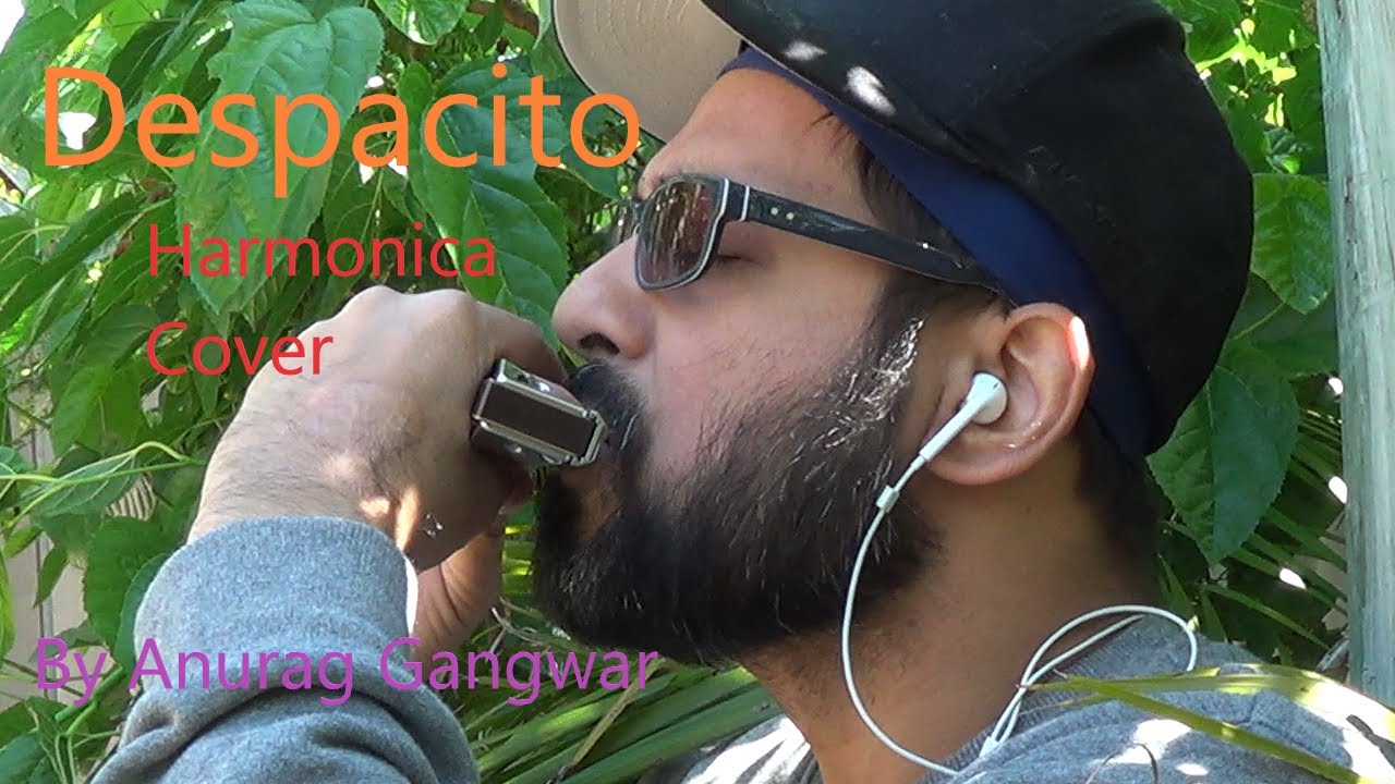 Despacito - Luis Fonsi (Harmonica music) @luisfonsi #despacito #daddyyankee  #harpmanofperth