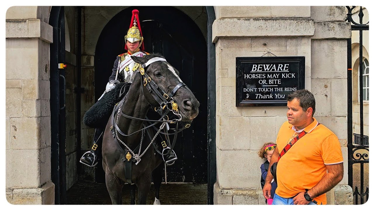 ОРМОНД кусает самодовольного туриста, который помешал детскому снимку!