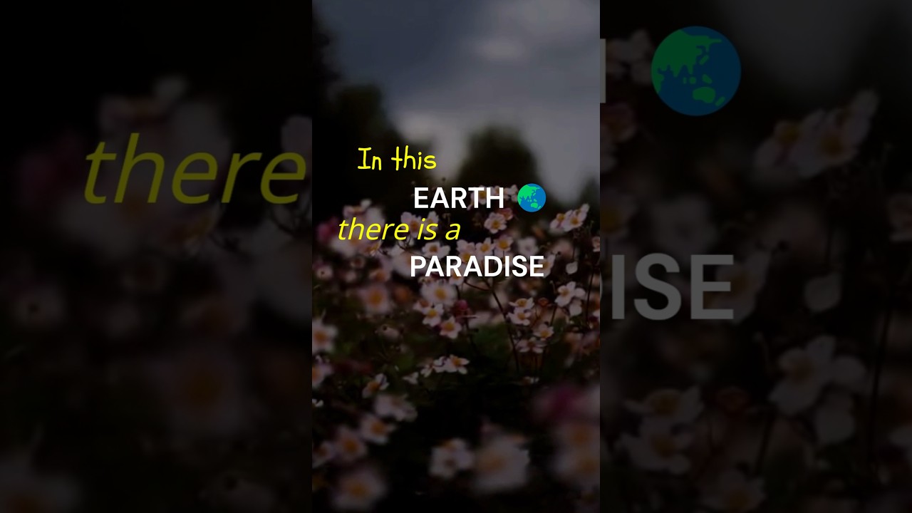 🌎 Paradise 🌎 in 🌎 Earth #islamicshorts #belalassad #islam #shorts