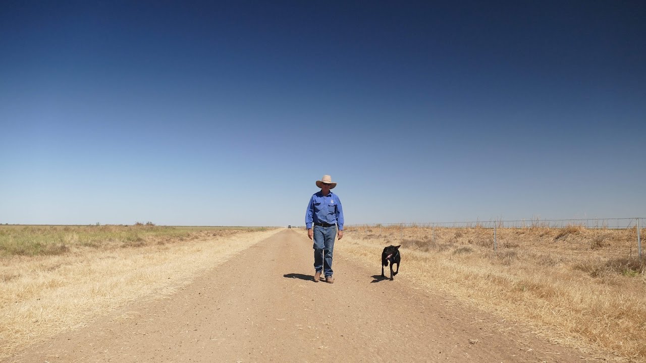 Rural Australia  - Stock Footage from NSW Filming April 2017 - Rural NSW