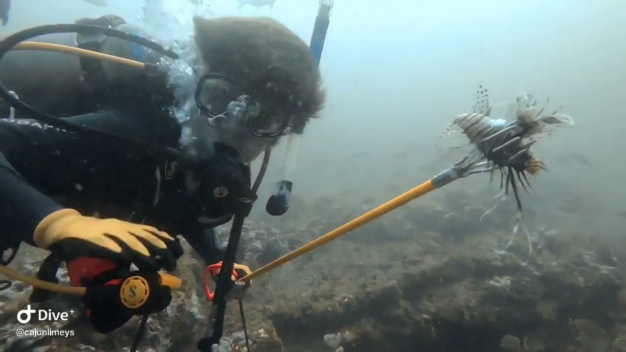 LionfishHunting