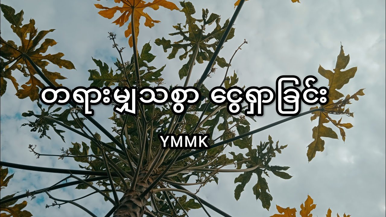 တရားမျှတစွာ ငွေရှာခြင်း - YMMK 