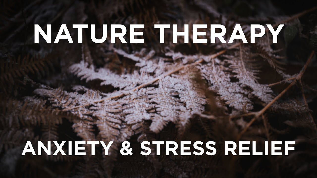 Winter Lofi - Nature Therapy for Anxiety & Stress Relief