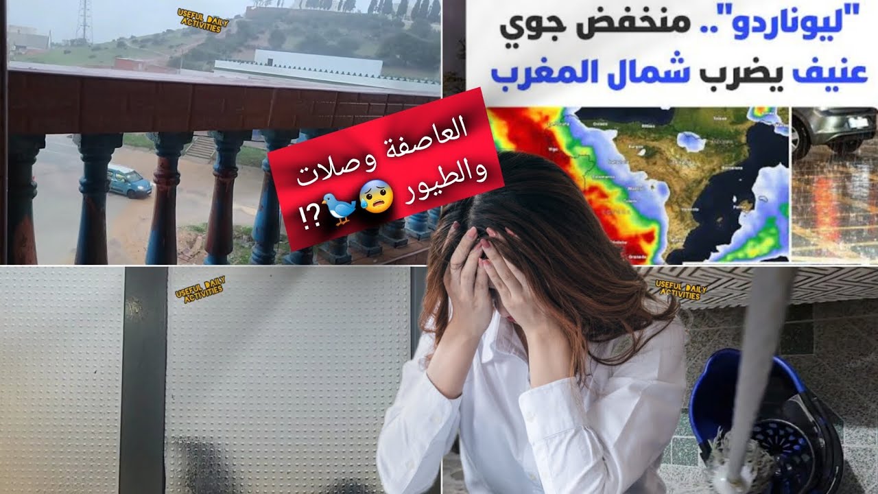 اليوم عاصفة ليوناردو فـتطوان😱 🌪️🌧️البرد كيخلّع… شنو درت فالطيور؟ 😰🐦