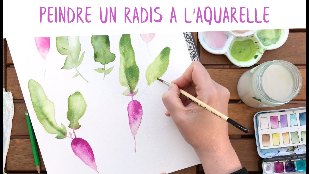 Tutoriel : peindre un radis à l'aquarelle