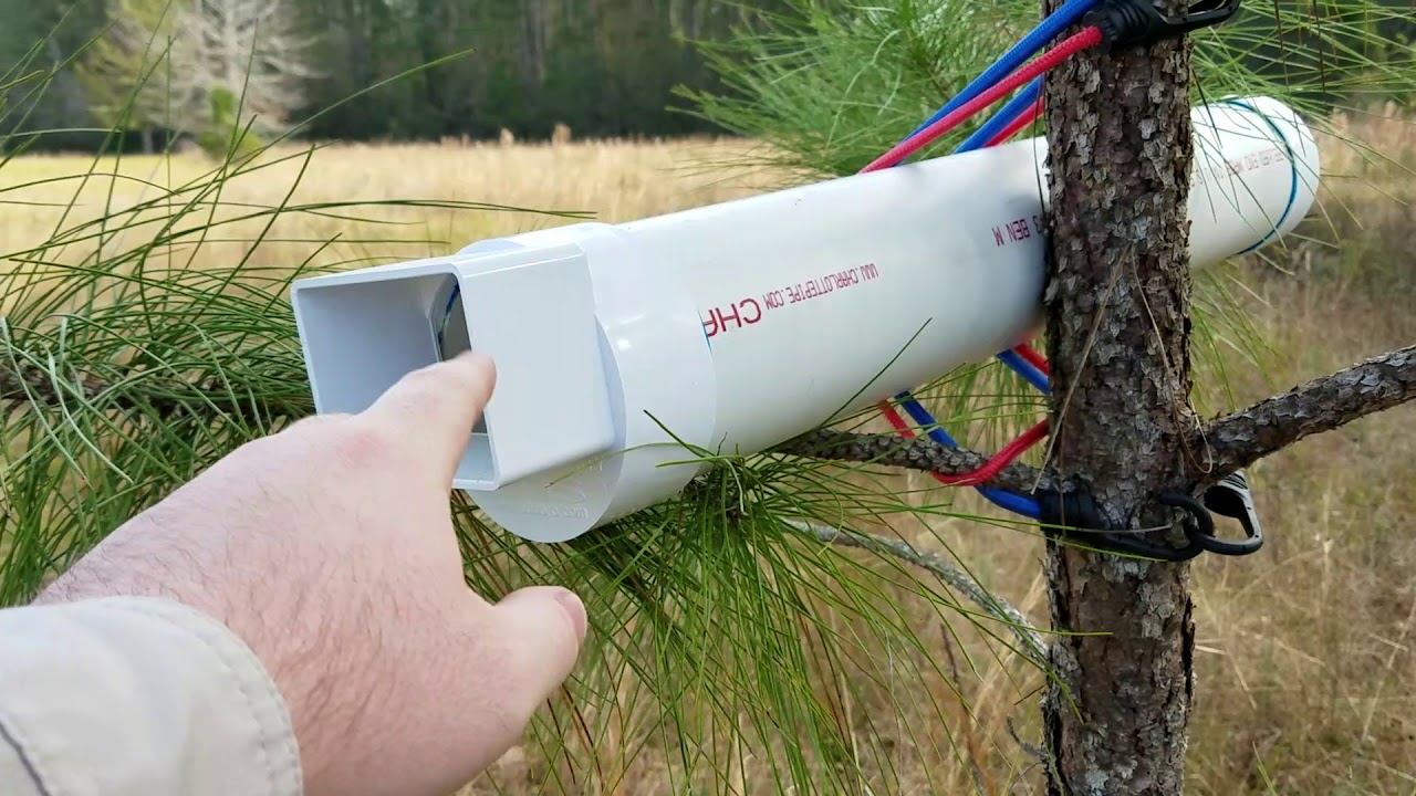 DIY Dry Pollen Feeder in action