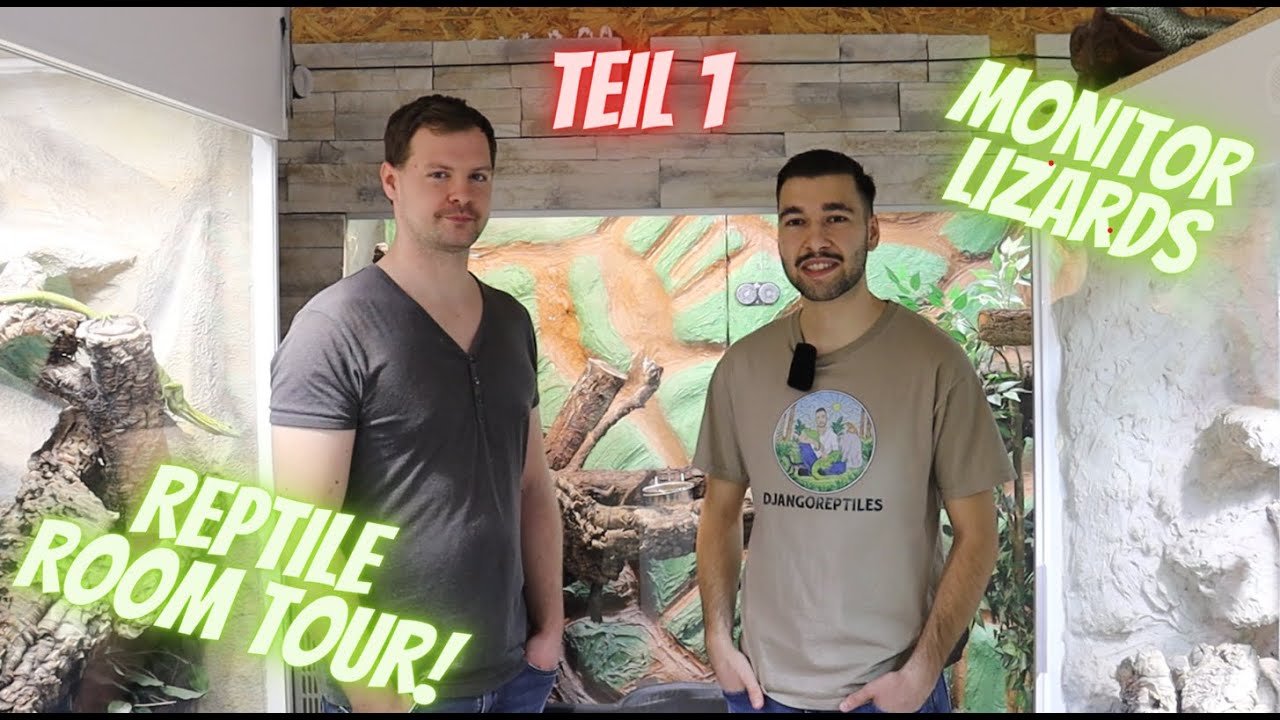 Reptile Room Tour mit Waranen Teil 1 | MONITOR LIZARD ROOM TOUR