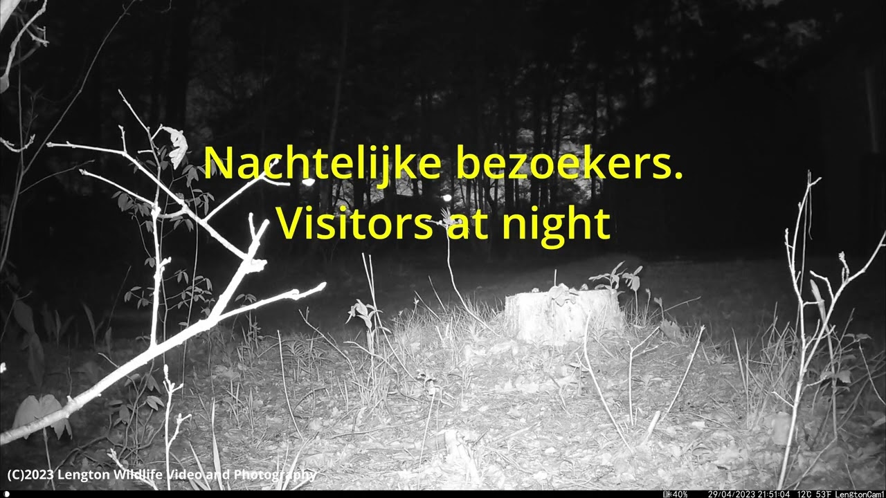Wildlife Bungalowpark De Rietberg Epe. 27 april - 02 mei 2023.