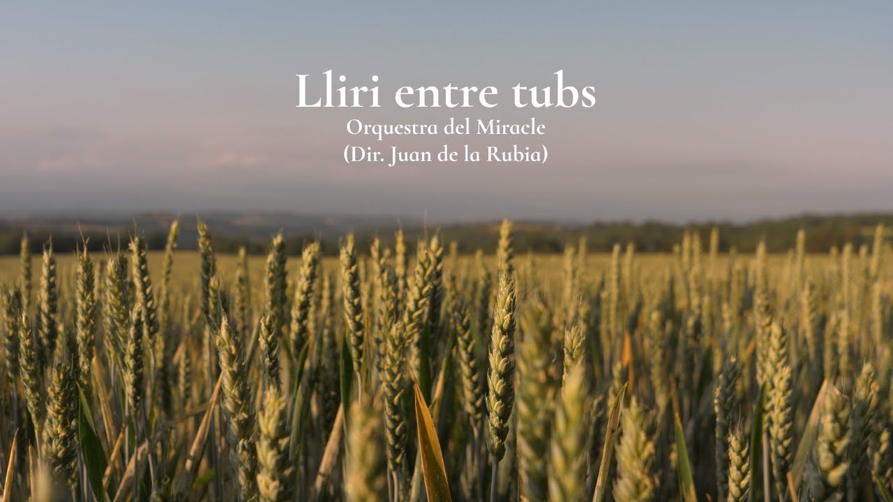 Lliri entre tubs (Orquestra del Miracle) | Espurnes Barroques 2025