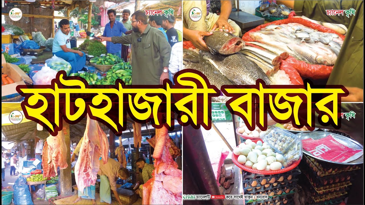 Hathazari Bazar | হাটহাজারী বাজার | Chattogram | Bazar | Krishi Vlog | Channel Krishi