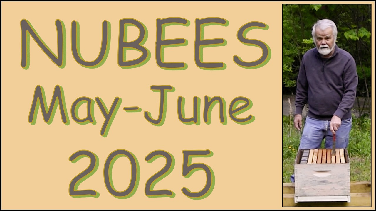 First Honeybee Nuc Install 2025 