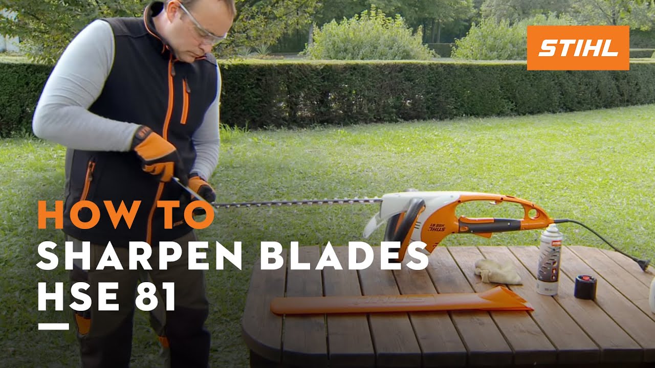 STIHL HSE 81 ꘡ How to sharpen the blades of an electric hedge trimmer | STIHL Tutorial