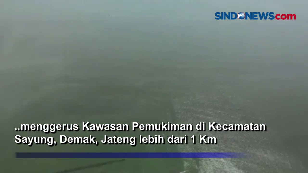 Abrasi Pantai di Demak Gerus Daratan Lebih dari 1 Km