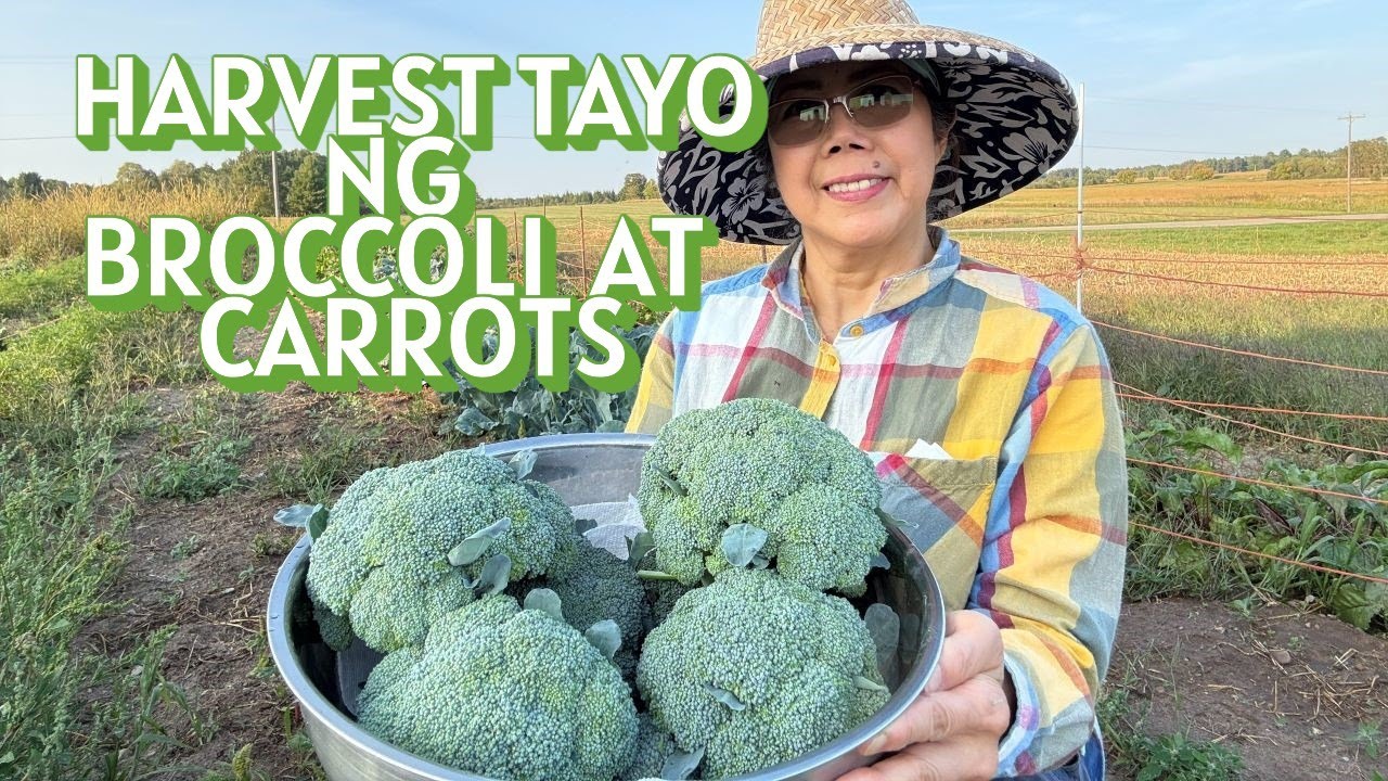ZUCCHINI BROCCOLI AND CARROTS, SARAP MANGUHA