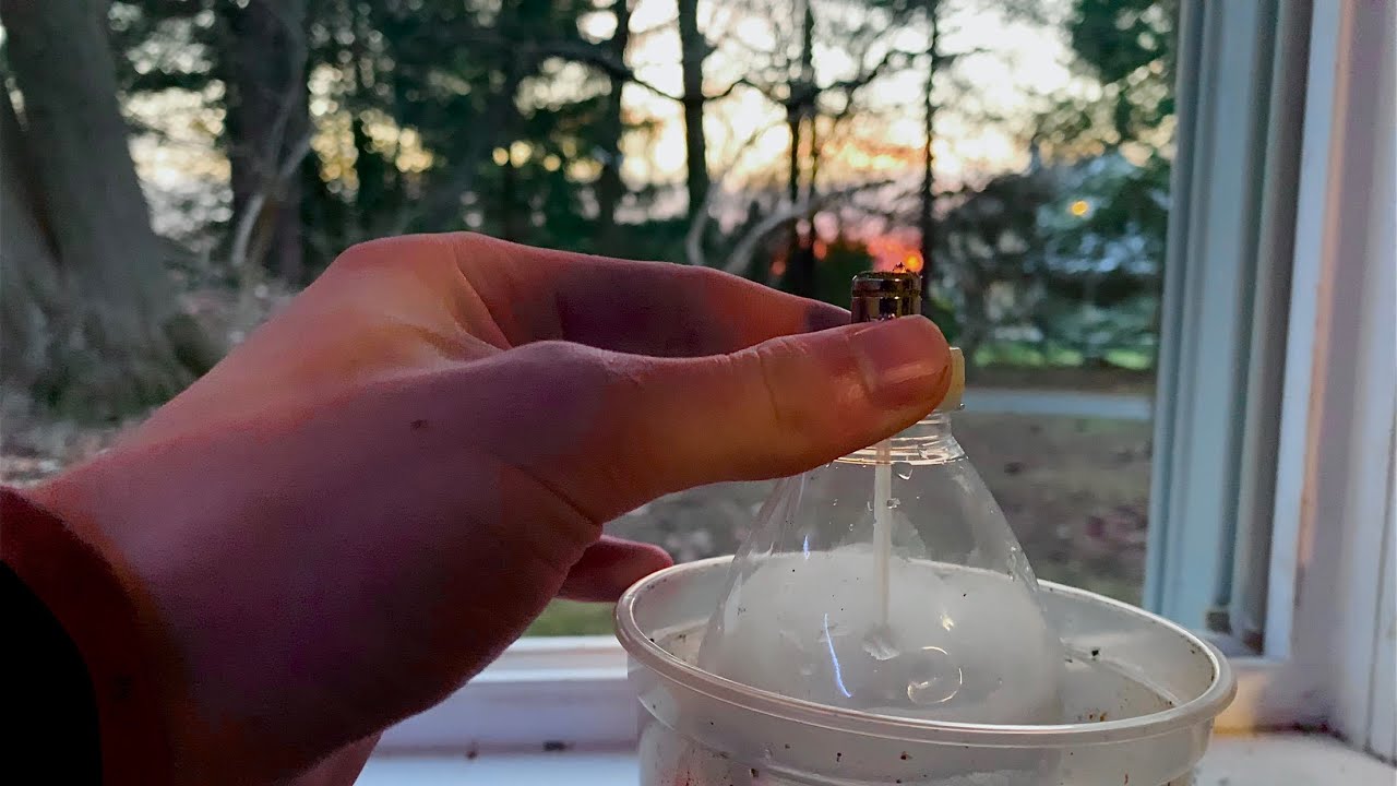 BIG GRAVITY BONG RIPS!!!