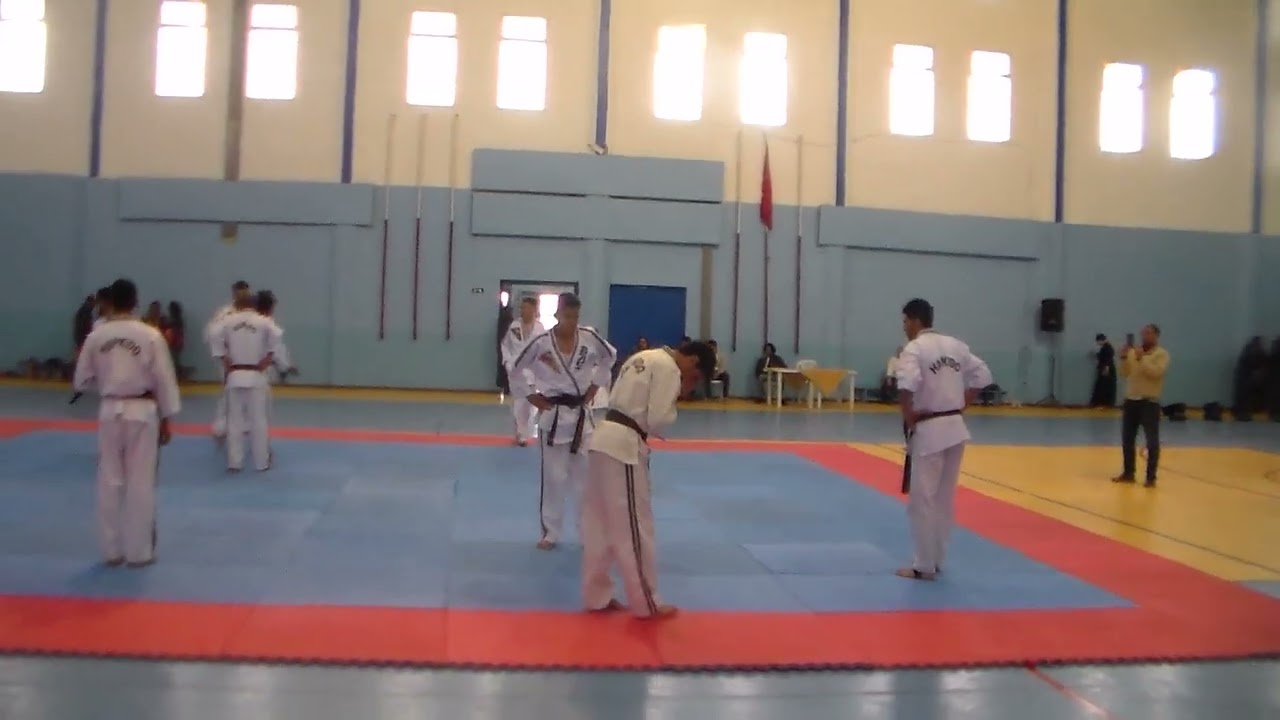 Hapkido demo megrine avril 2018