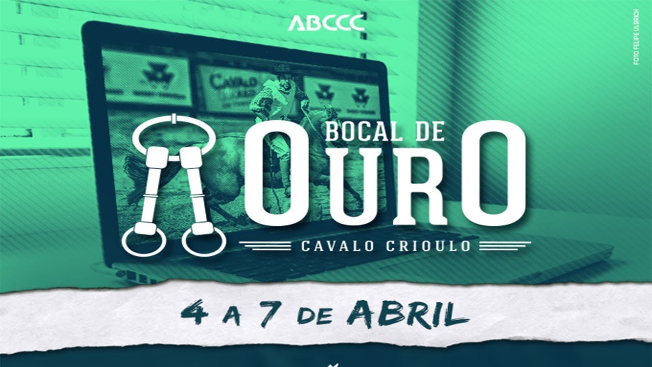 Bocal de Ouro 2019 - Andaduras/Figura/VSP-Esbarradas (Machos)