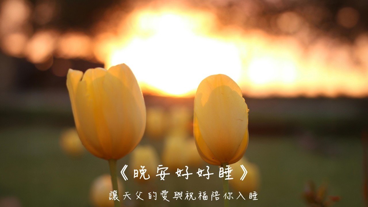 週三讀點書《有一天，我們終將再見》