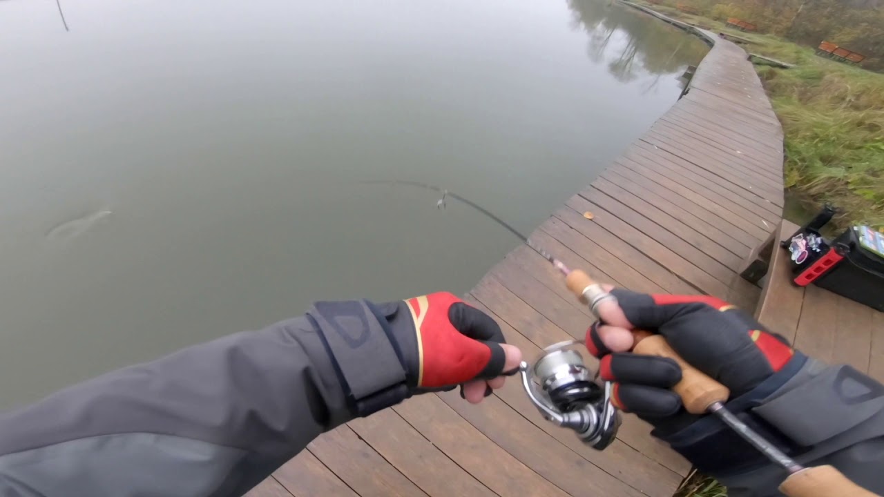 Рыбхоз Сенеж