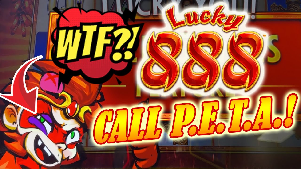 NEW Lucky 888 Slot! That Poor Monkey, LOL! 2nd Attempt with More Bonuses at Club Fortune casino!