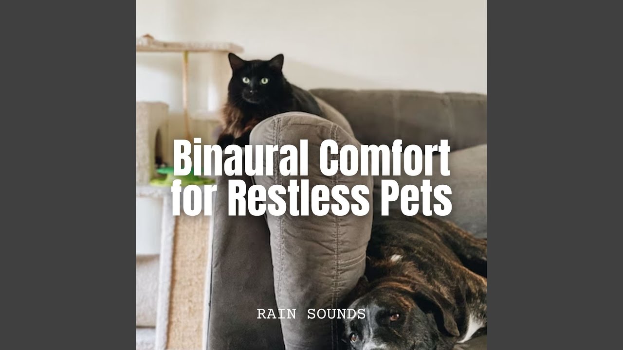 Binaural Pet Sleep Therapy