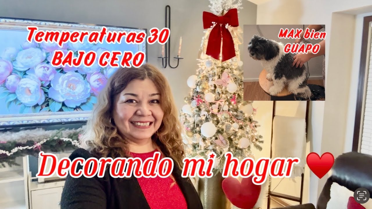Temperaturas muy bajas. Decoración 14 de febrero. ❤️