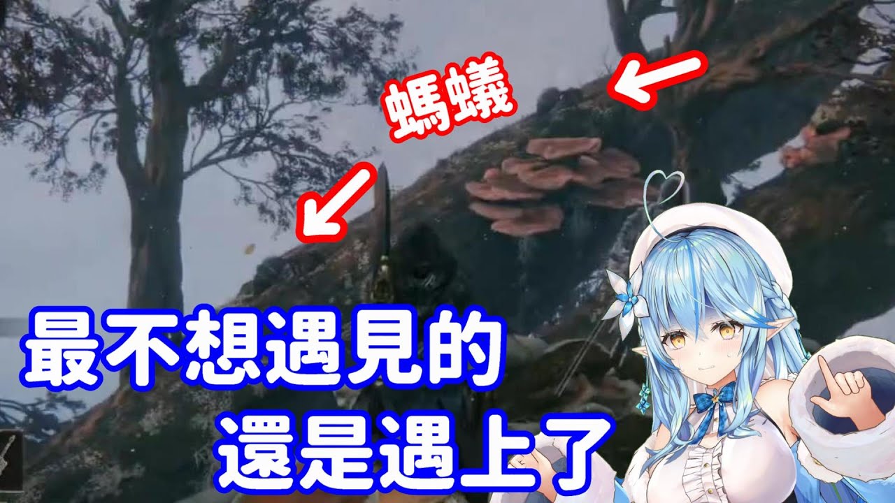 【Hololive中翻精華】大家最期待的畫面出現了? 終究還是遇上了螞蟻的拉米【雪花拉米】