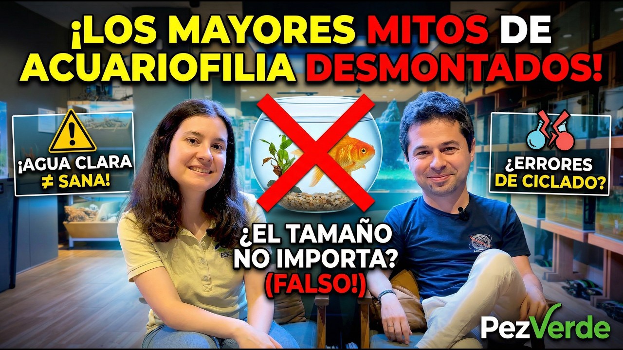 Los mayores MITOS de la acuariofilia que todavía cree la gente | PezVerde