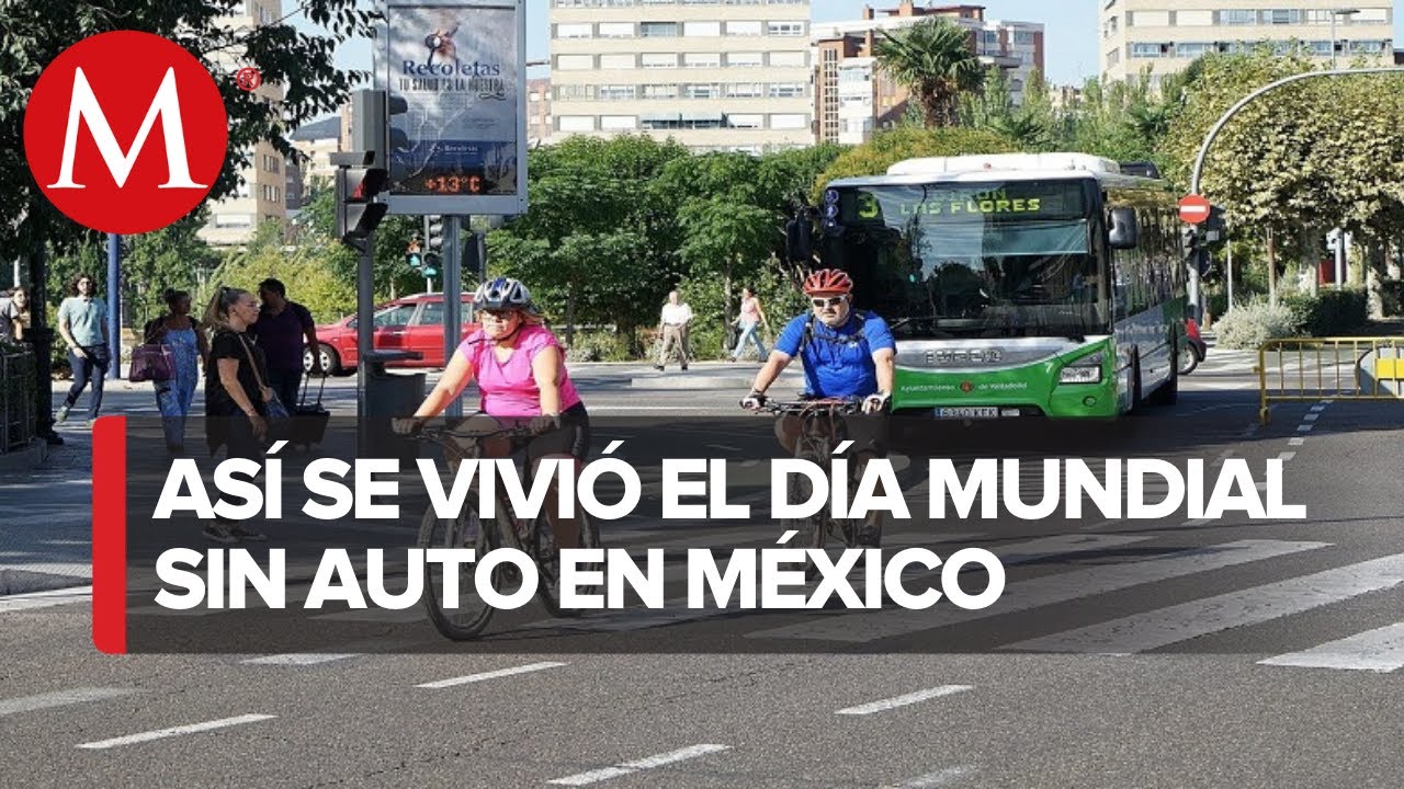 Día Mundial Sin Auto, iniciativa para generar consciencia