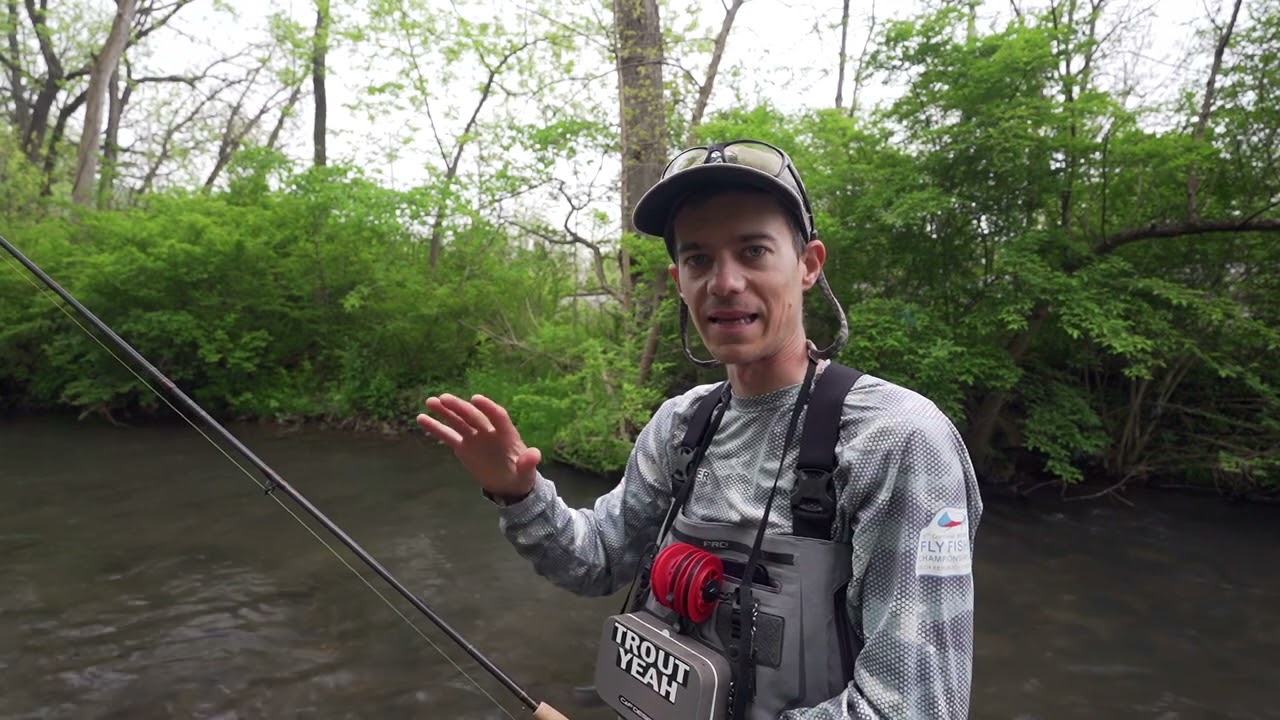 Fly Fishing encountering trees and obstacles.