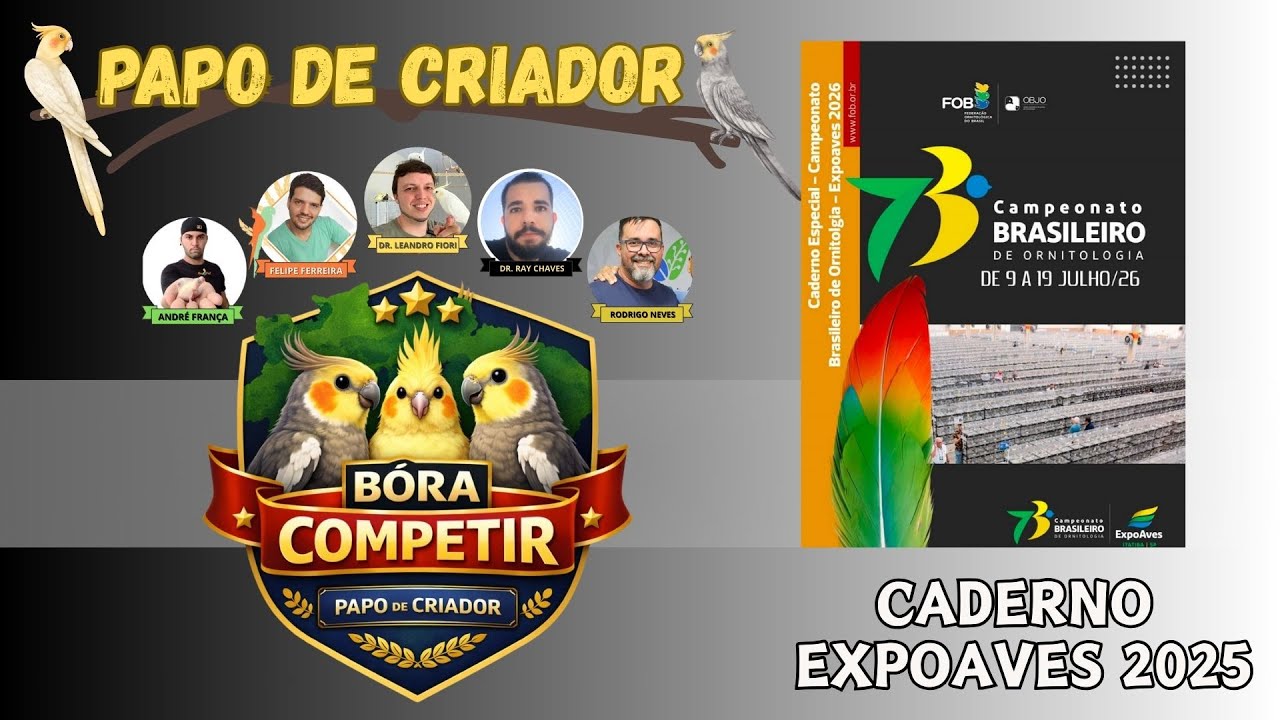 PAPO DE CRIADOR - BORA COMETIR! - CADERNO  EXPOAVES 2025
